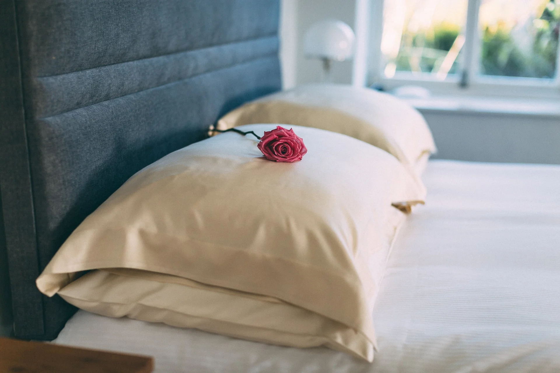 Luxury Silk, Ethically Crafted
